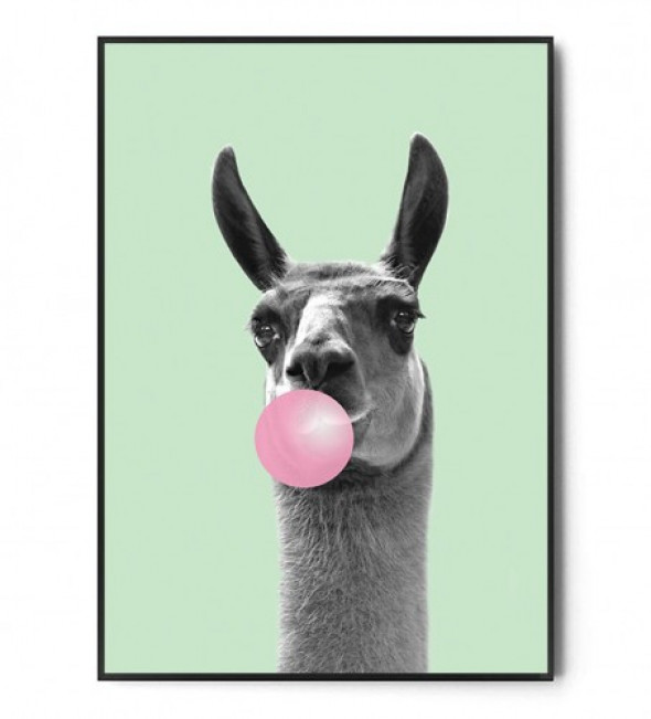 Plakat LAMA BUBBLE GUM mint