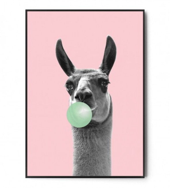 Plakat LAMA BUBBLE GUM pink