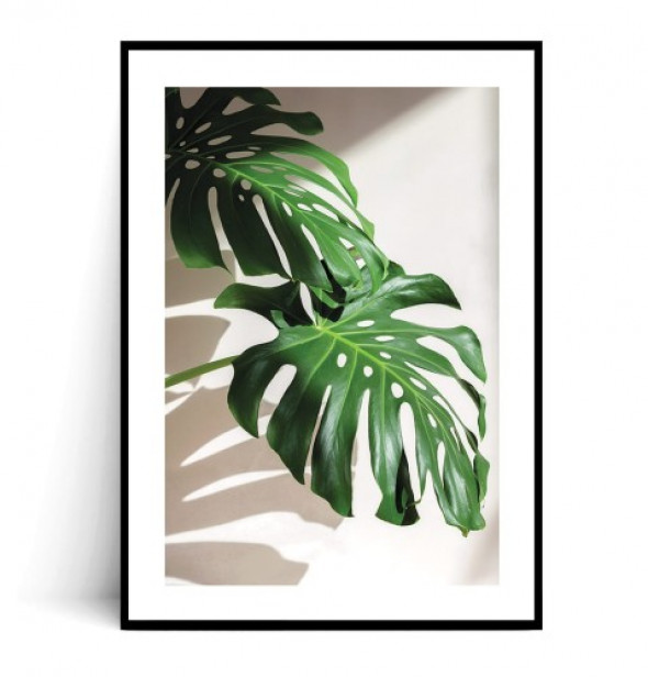 Plakat LIŚCIE MONSTERY