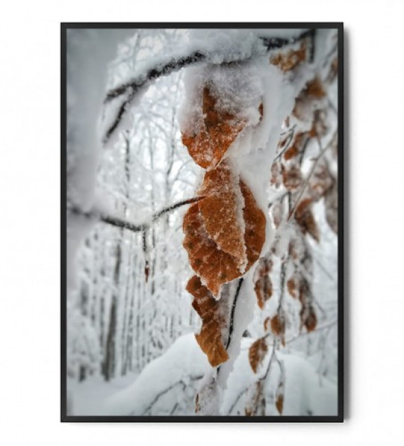 Plakat LIŚCIE W ŚNIEGU