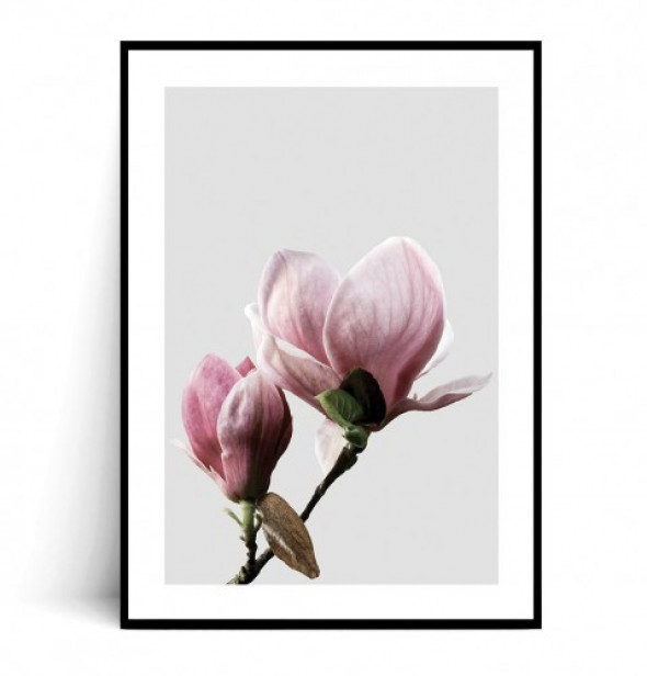 Plakat MAGNOLIA no.4