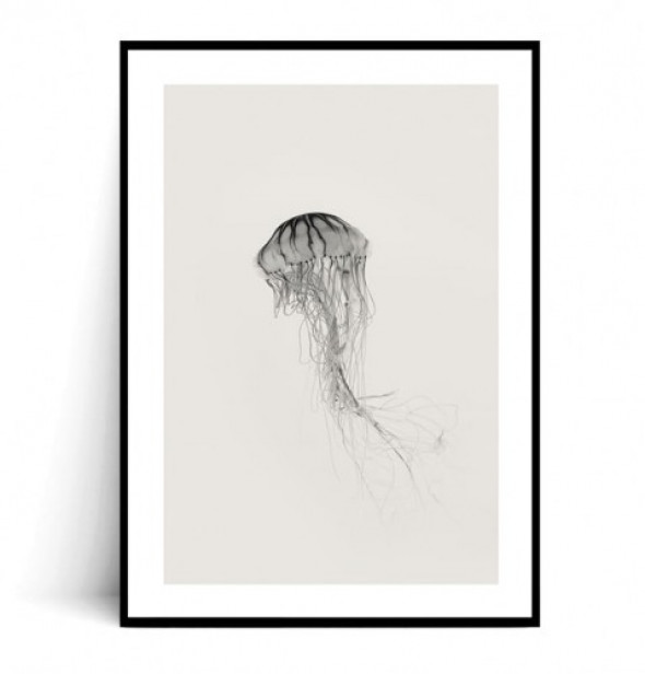 Plakat MEDUZA MINIMAL