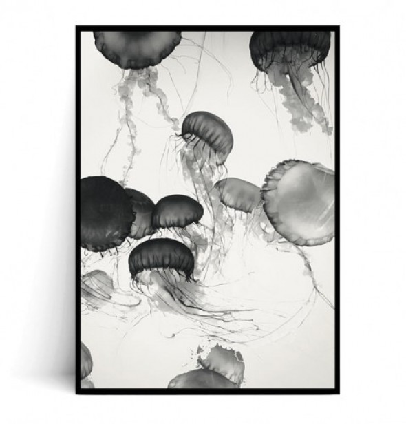 Plakat MEDUZY no.3