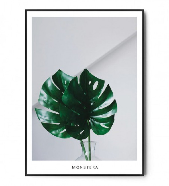 Plakat MONSTERA no.2