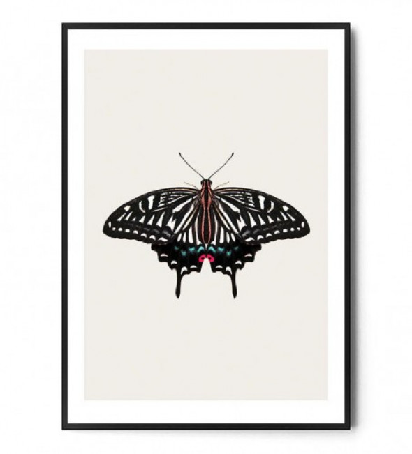 Plakat MOTYL no.1
