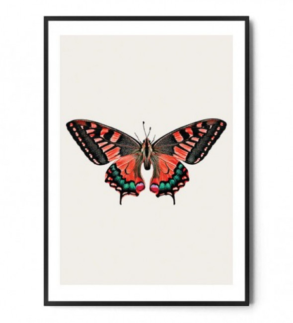 Plakat MOTYL no.3