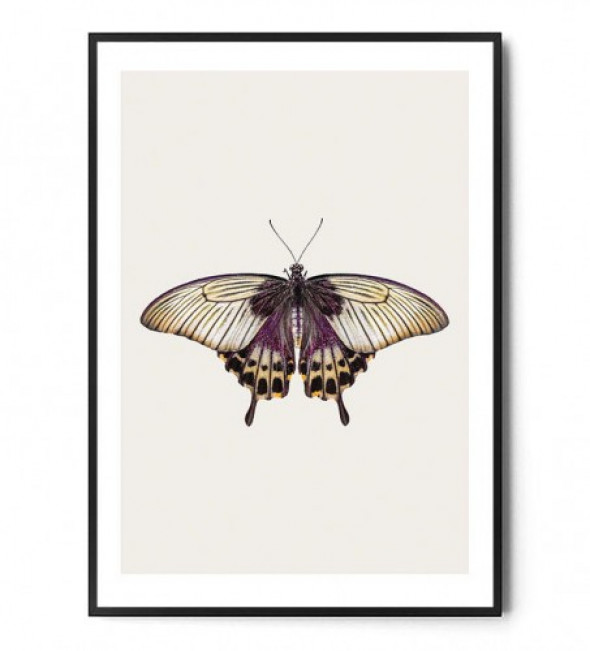 Plakat MOTYL no.4
