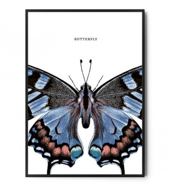 Plakat MOTYL no.6