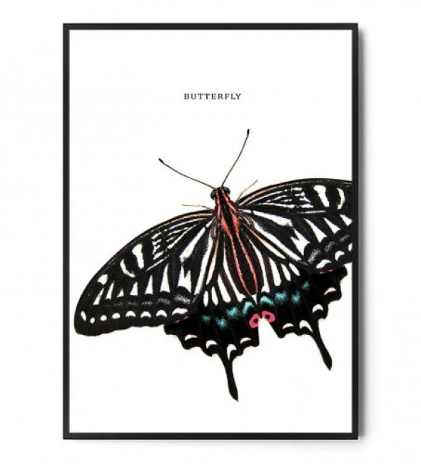 Plakat MOTYL no.7