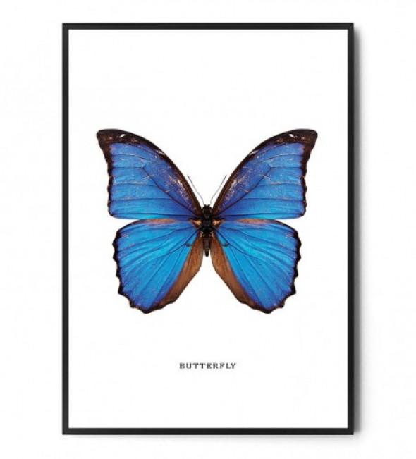 Plakat MOTYL no.8