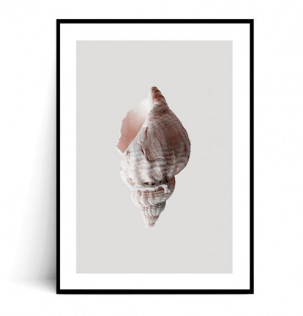 Plakat MUSZLA MINIMAL