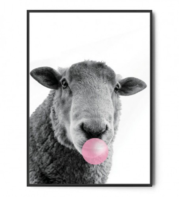 Plakat OWCA BUBBLE GUM