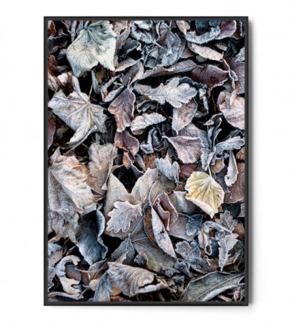 Plakat PIERWSZY MRÓZ no.2