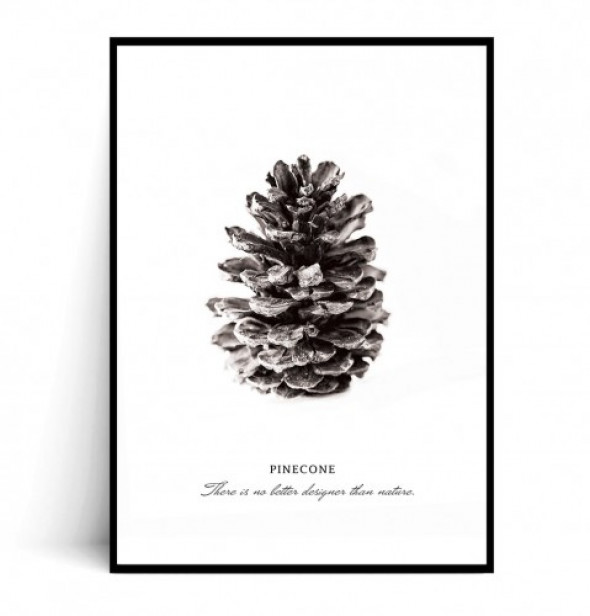 Plakat PINECONE