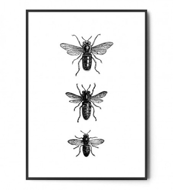 Plakat PSZCZOŁY