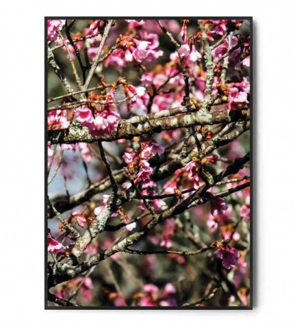 Plakat SPRING IS IN THE AIR no.2