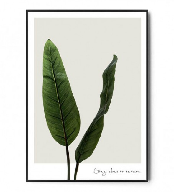 Plakat STAY CLOSE TO NATURE