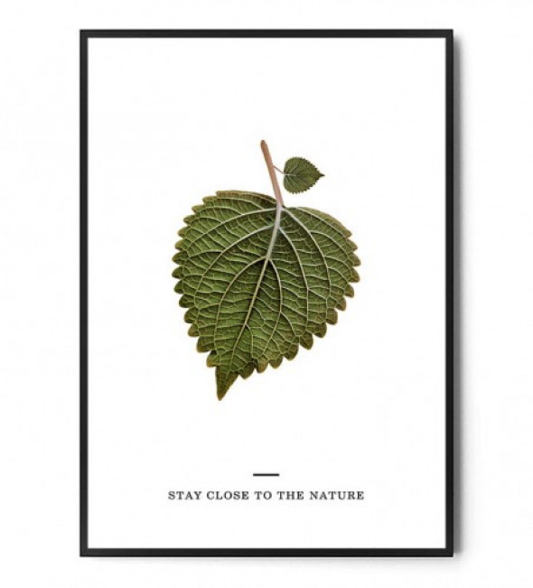 Plakat STAY CLOSE TO NATURE no.1