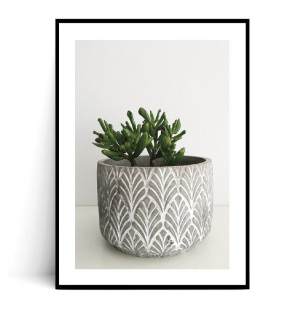 Plakat SUKULENT W DONICZCE