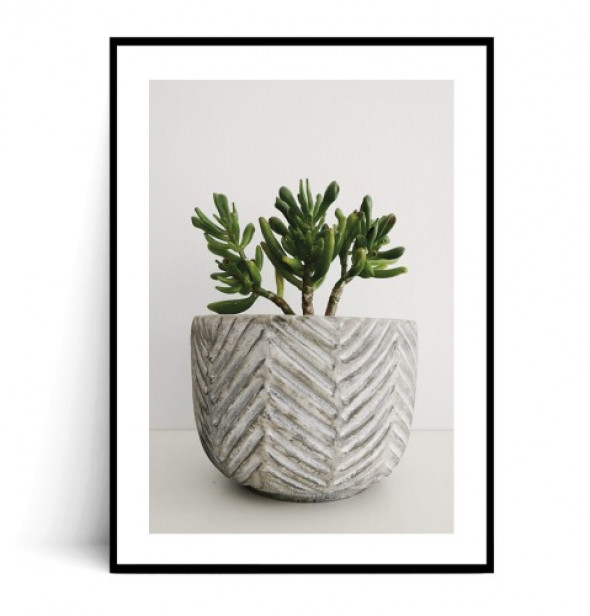 Plakat SUKULENT W DONICZCE no.1