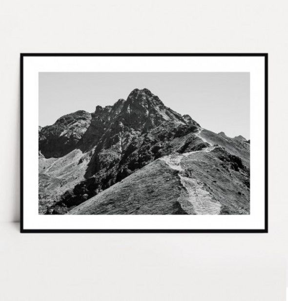 Plakat ŚWINICA no.1 czarno biały poziomy