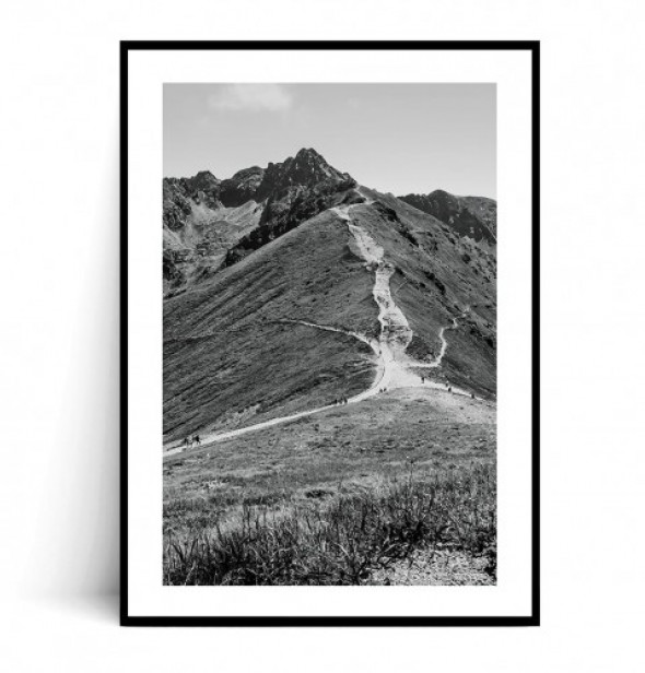 Plakat ŚWINICA no.2 czarno biały