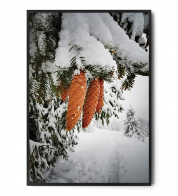 Plakat SZYSZKI W ŚNIEGU