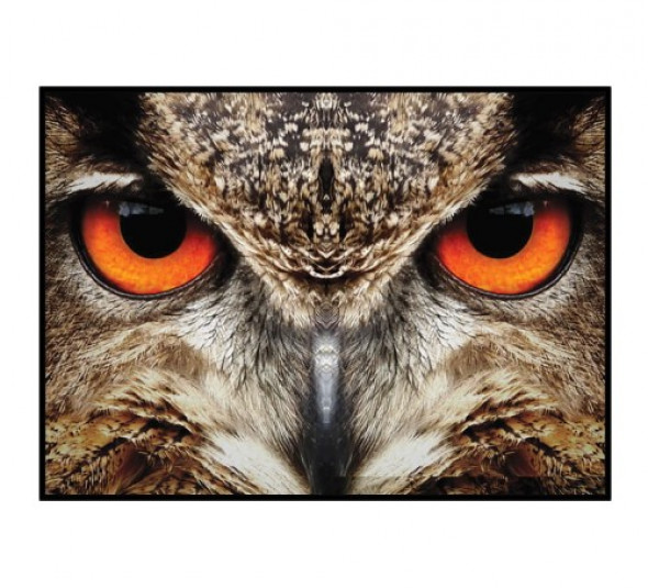 Plakat THE EYES | SOWA poziomy