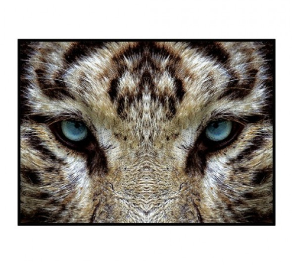 Plakat THE EYES | TYGRYS poziomy