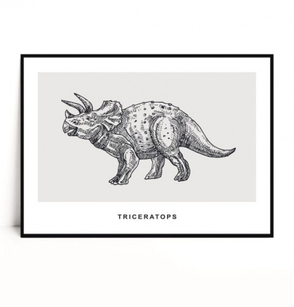 Plakat TRICERATOPS