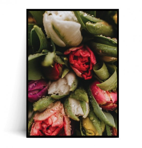 Plakat TULIPANY no.4