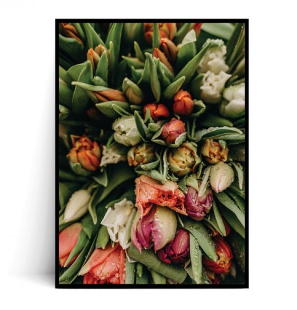 Plakat TULIPANY no.6