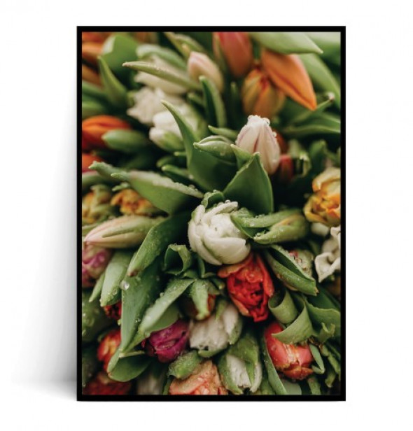 Plakat TULIPANY no.7