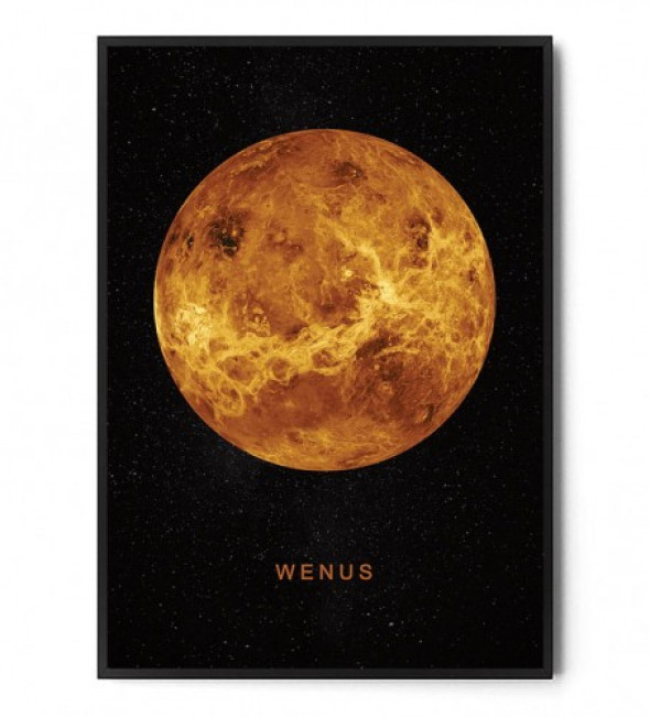 Plakat WENUS