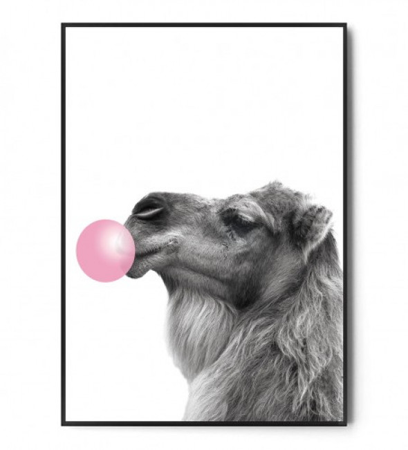 Plakat WIELBŁĄD BUBBLE GUM
