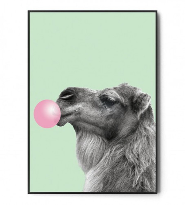 Plakat WIELBŁĄD BUBBLE GUM mint