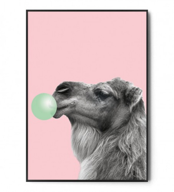 Plakat WIELBŁĄD BUBBLE GUM pink