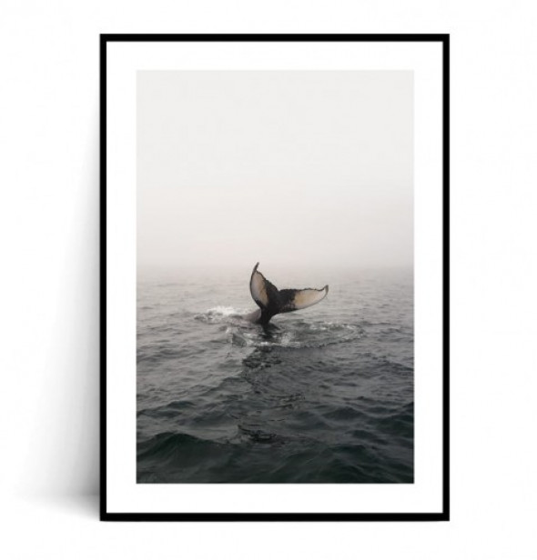 Plakat WIELORYB