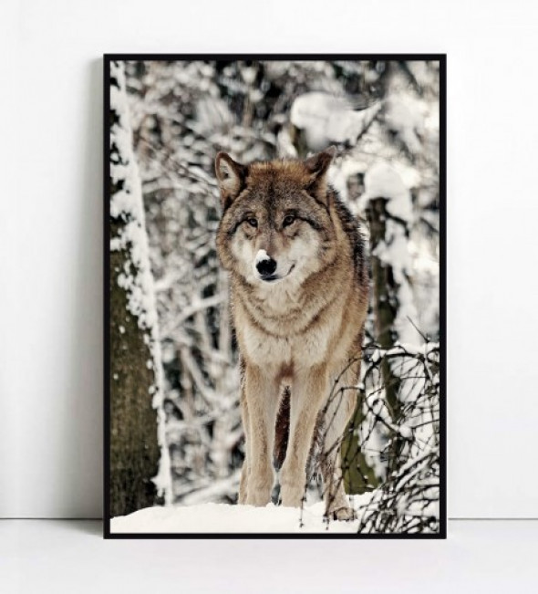 Plakat WILK