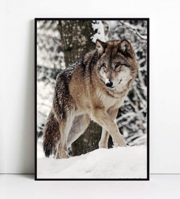 Plakat WILK no.1