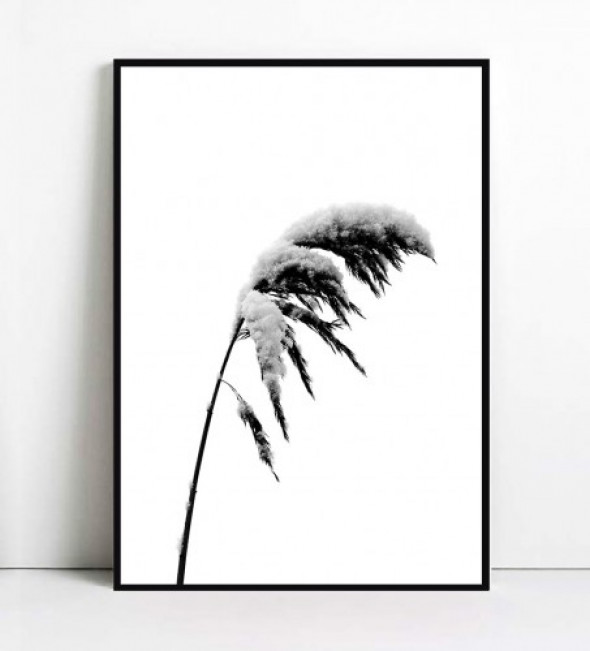 Plakat WINTER GRASS