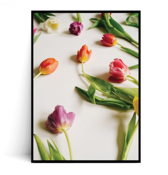 Plakat WIOSENNE TULIPANY no.1