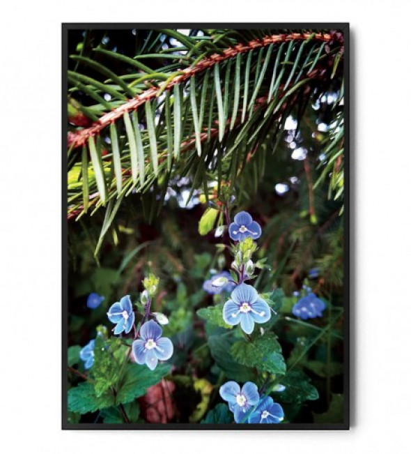 Plakat WIOSNA W LESIE no.1