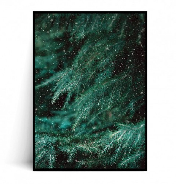 Plakat ZIELONE GAŁĄZKI no.2 60x90 cm -50%
