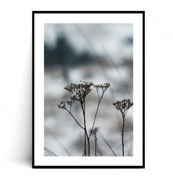 Plakat ZIMOWA ROŚLINKA no.3