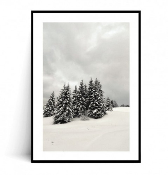 Plakat ZIMOWE CHOINKI 50x70 cm -50%