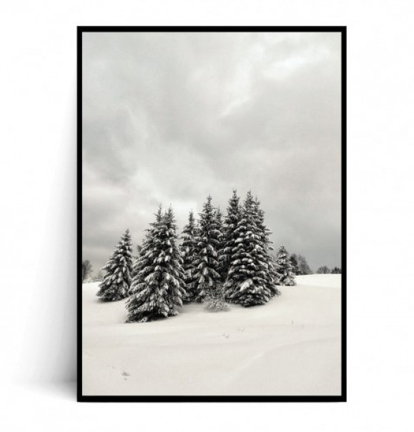 Plakat ZIMOWE CHOINKI