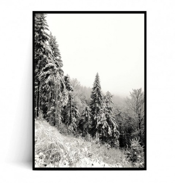 Plakat ZIMOWE CHOINKI A3 -50%