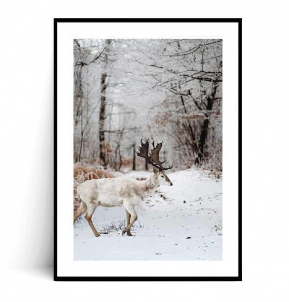 Plakat ZIMOWY RENIFER