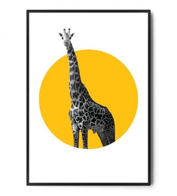 Plakat ŻYRAFA